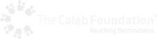 caleb-logo-wit-02-4471